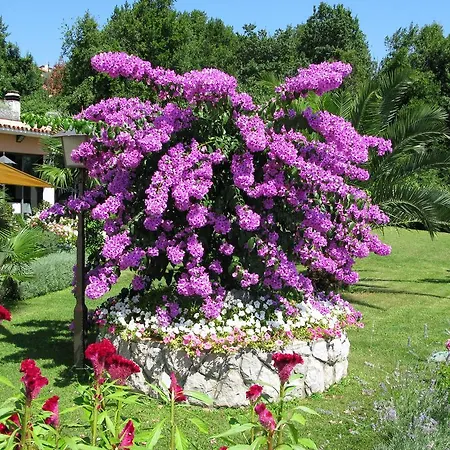 Bed & Breakfast Iris Mošćenička Draga
