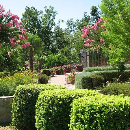 Iris Bed & Breakfast