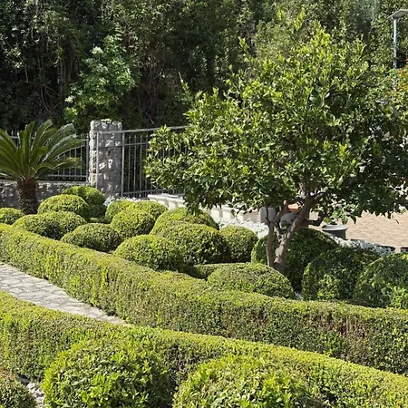 Iris Bed & Breakfast Moscenicka Draga