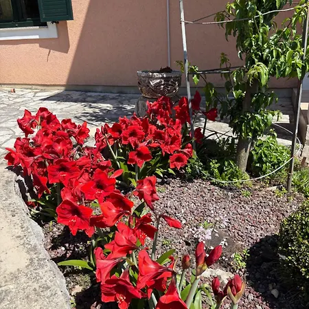 Bed & Breakfast Iris Moscenicka Draga